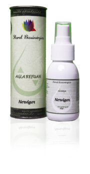 Nervigor 60ml