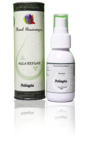 Poliagla 60ml